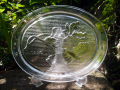 ガラス楕円皿 花鳥図 WAKO　g-99